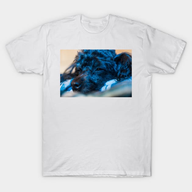 Blue Puppy T-Shirt by KensLensDesigns